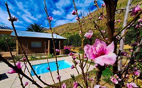 Piuquenes Lodge - Cabañas, Viñedos y estrellas en Horcón, Valle de Elqui